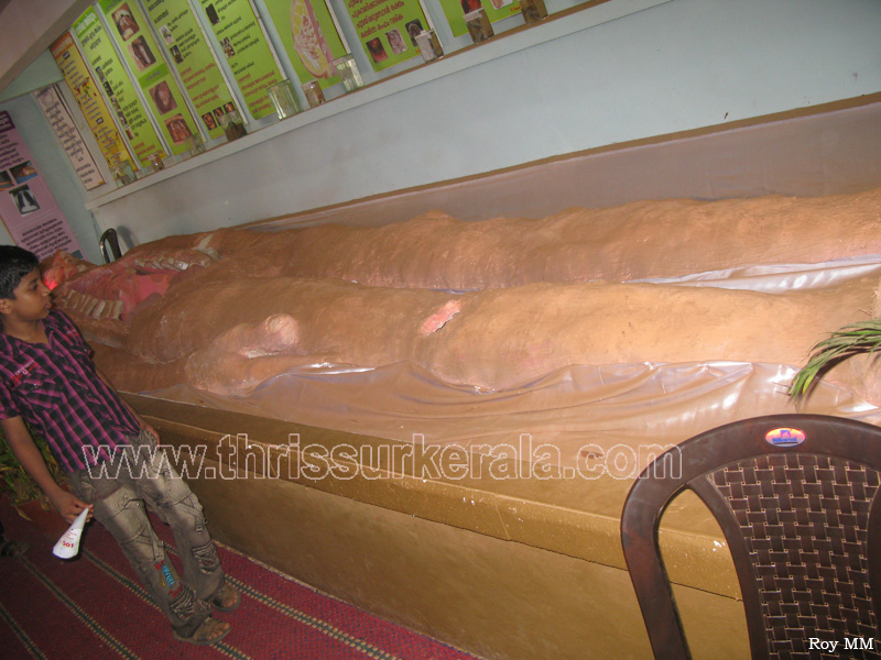 thrissur-pooram-exhibition-2011 (136)